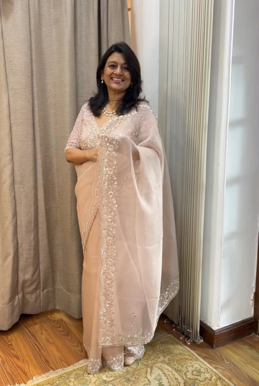 GALAXY- Pure Silk Organza Saree